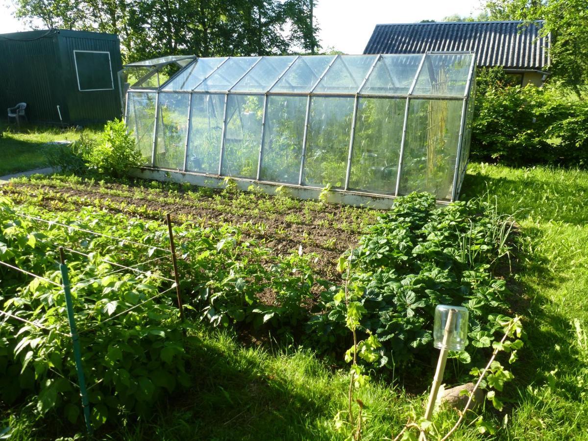 Traumhaftes Luxus-Ferienhaus Warnkenhagen  Kültér fotó